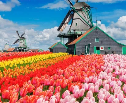 Thời tiết Hà Lan tháng 7 – Mùa hè dễ chịu, lý tưởng cho hành trình khám phá châu Âu